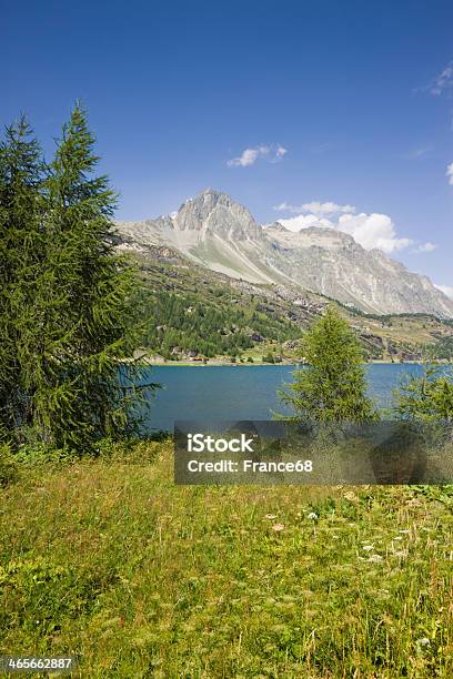 Andar Em Torno De Sils Lago - Fotografias de stock e mais imagens de Alpes Europeus - Alpes Europeus, Alpes de Engadine, Ao Ar Livre