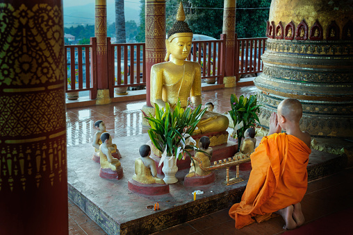 A novice monk offering a prayer to Buddha in the evening at the Wat Zom Khum Temple at Kyiang Tong, Myanmar.