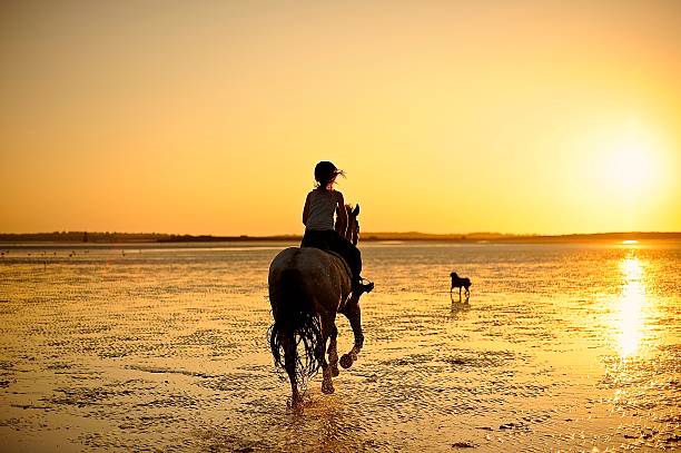 istock Horse riding into the sunset 465663330