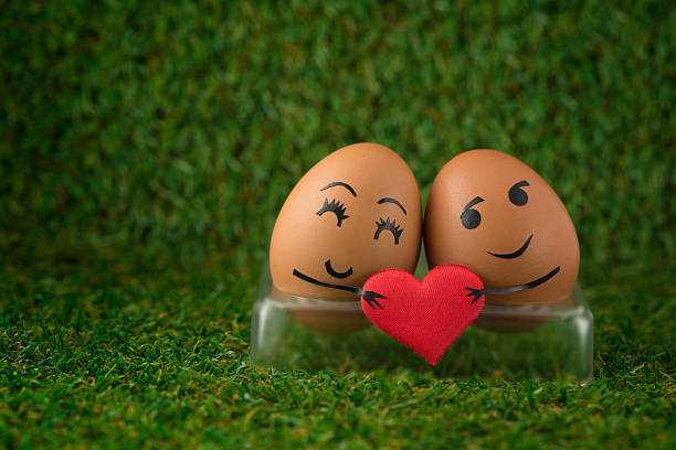 Sweet couple egg stock photo