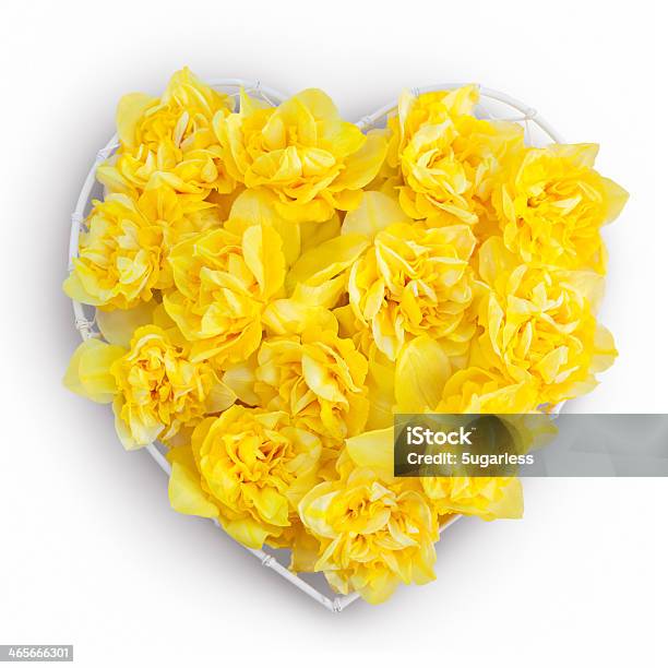 Heart Of Flowers Stock Photo - Download Image Now - Daffodil, Heart Shape, Backgrounds