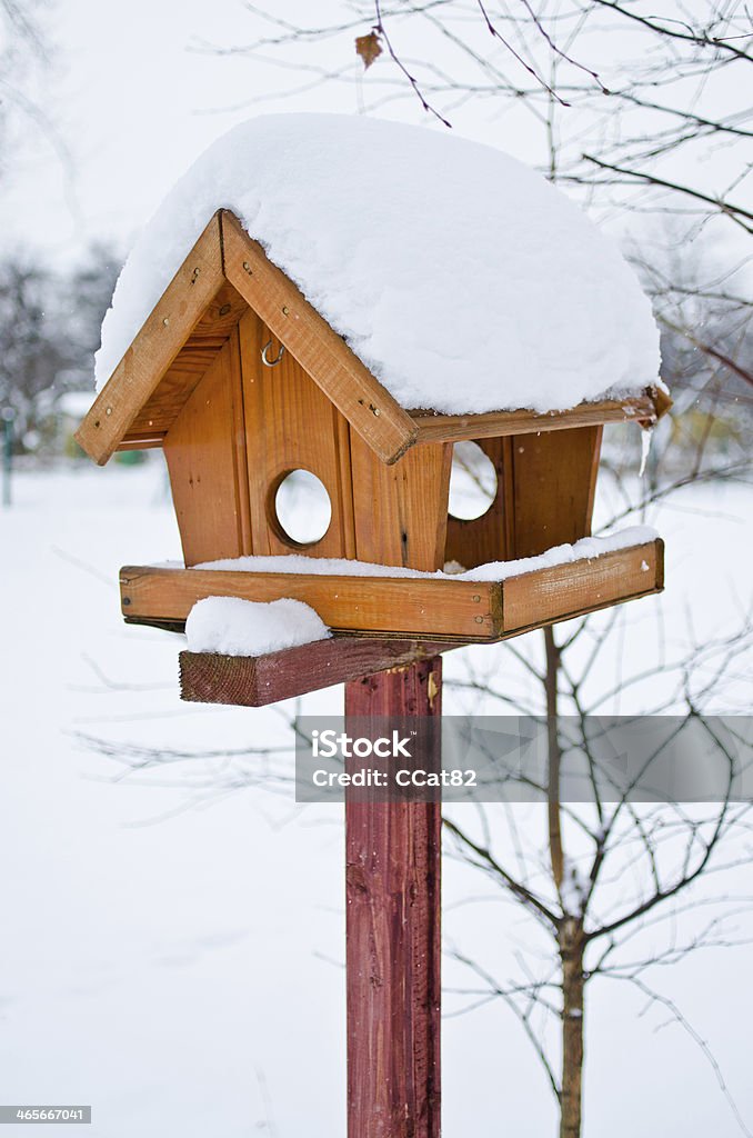 Mangiatoia per uccelli - Foto stock royalty-free di Accudire