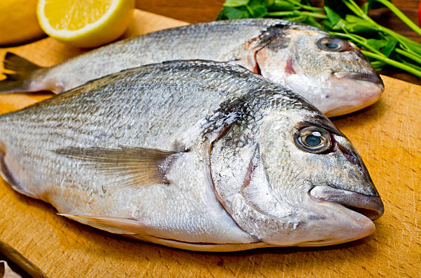 istock Gilthead fishes ready to preparation 465668919