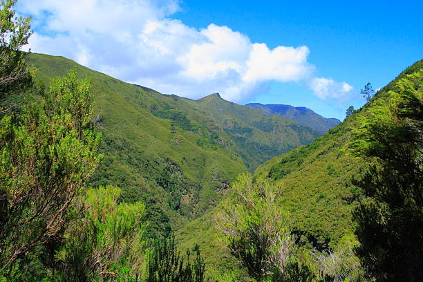 istock Valley of Rabacal 465669519