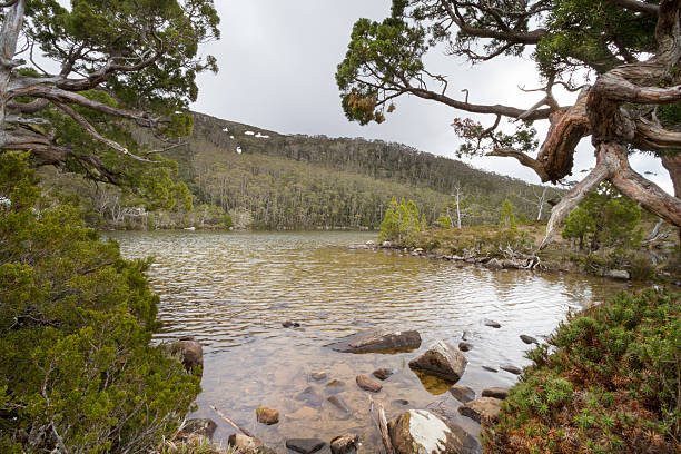 istock Dobson Lake Mt Fields National Park 465678806