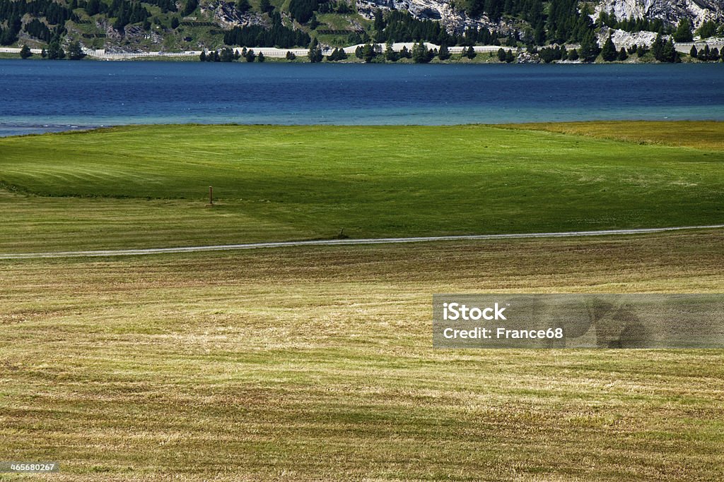 Ходить вокруг Sils Озеро (Швейцария) - Стоковые фото Engadin Valley роялти-фри