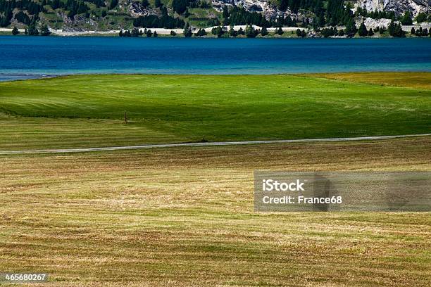 Ходить Вокруг Sils Озеро — стоковые фотографии и другие картинки Engadin Valley - Engadin Valley, Lake Sils, Lake Silvaplana