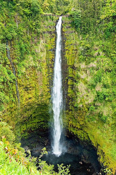 istock Akaka Falls on Big Island Hawaii in tropical rain fores 465683501