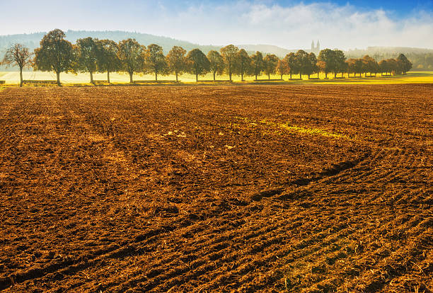 Franconian Autumn in the Upper Main River Valley (Obermaintal) Autumn morning landscape taken in the Upper Main River Valley (Obermaintal) near Staffelstein (Lichtenfels) with the famous Vierzehnheiligen Basilica in the distance, the so-called “Golden Gate of Franconia" lichtenfels stock pictures, royalty-free photos & images