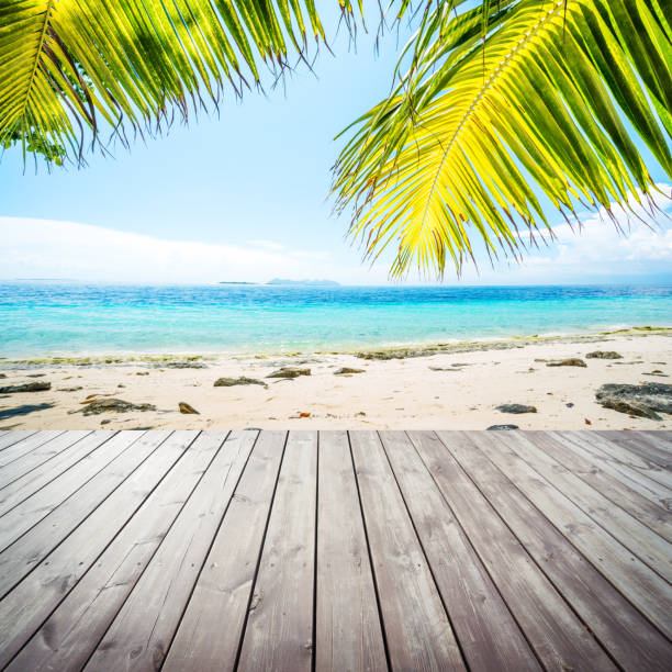 istock Wooden platform under coconut palm trees on beach 465683653