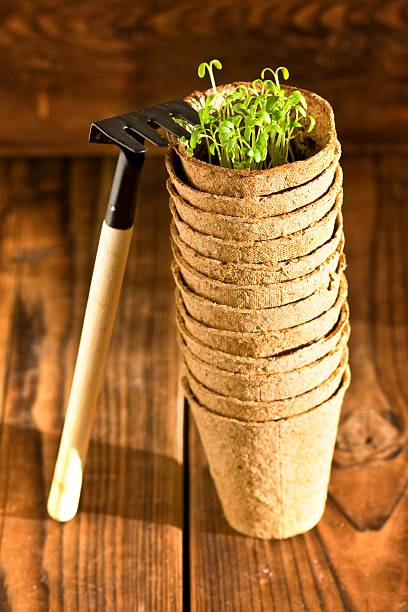 istock Peat pots and garden tool on wood 465685064