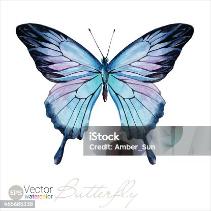 istock Vector Watercolor Butterfly The Ulysses butterfly 465685338