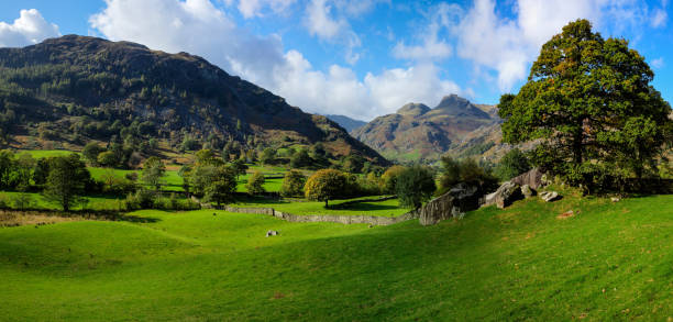 il langdale pikes da copt howe - langdale pikes panoramic english lake district cumbria foto e immagini stock