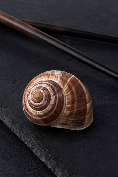 istock Escargot and Chopsticks on Slate Background 465692970