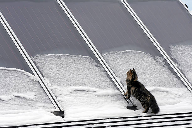 energia solar - klimaschutz - fotografias e filmes do acervo