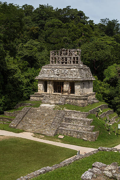 istock Ruins of Palenque in Mexico 465696018