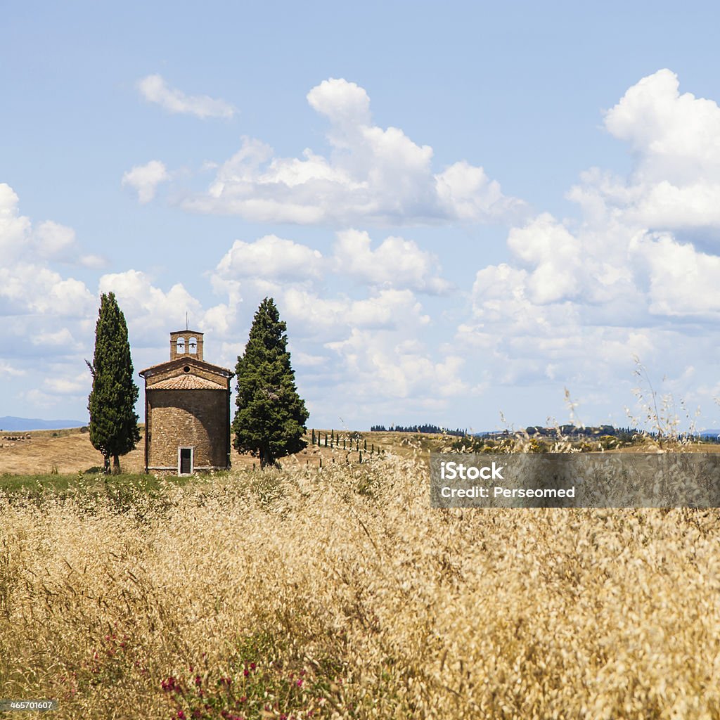 Campo de Toscana - Foto de stock de Agricultura royalty-free