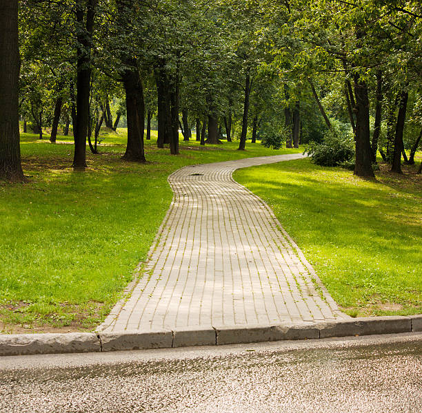istock Causeway in shady park 465702102