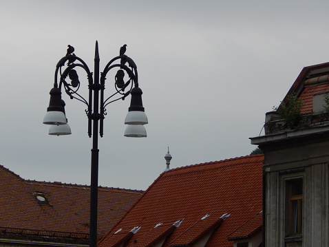 nice view of the roofs and the lighting pole..and of course the pigeons resting there