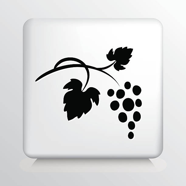 квадратный значок с черным виноград и листья силуэт bunch - grape leaf stock illustrations