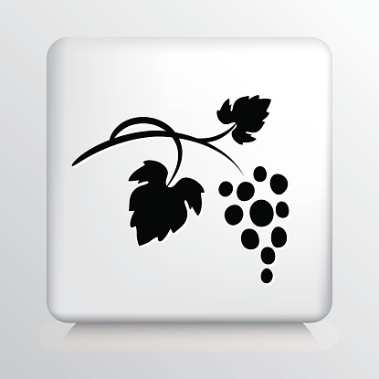 Square Icon with Black Grape Bunch and Leaves Silhouette