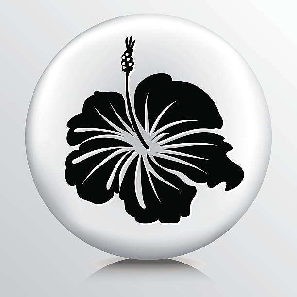 ilustraciones, imágenes clip art, dibujos animados e iconos de stock de partido icono con flores de hibisco silueta negra - hibiscus single flower flower red