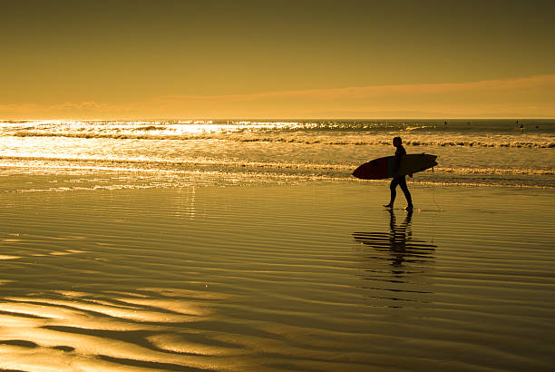 istock Silhouettes of surfer in sunset 465723999