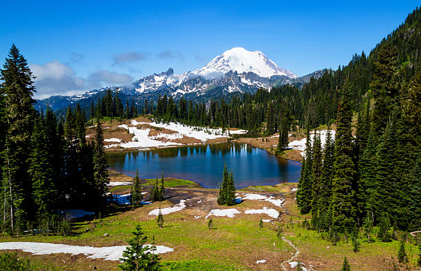 Tipsoo Lake Small Tipsoo lake is a very picturesque place in Mt Rainier NP. mt rainier national park stock pictures, royalty-free photos & images