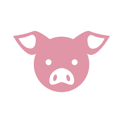 Cute pink pig illustration