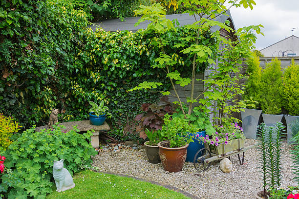 istock Suburban garden with shed and plant containers 465724821