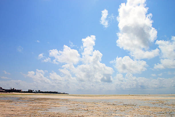 istock View of the beach Watamu 465733560