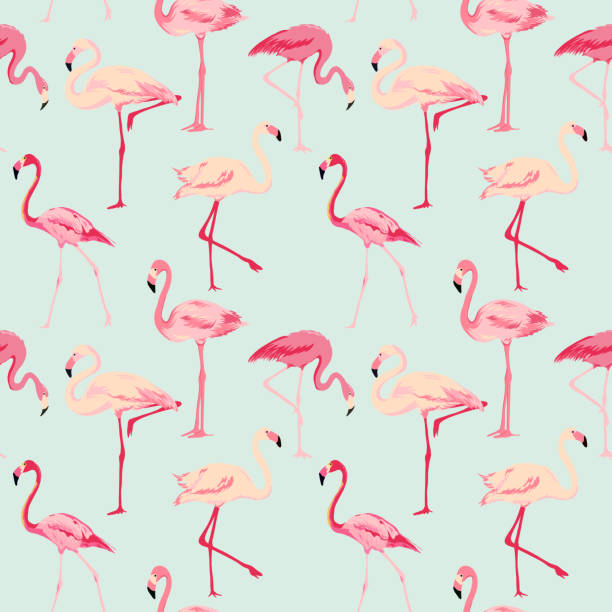 flamingo bird background - retro bezešvý vzor - plameňáci stock ilustrace