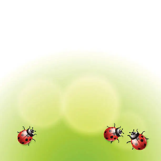 Vector illustration of Green background with ladybirds