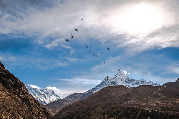 himalayas.  nepal - amadablam fotografías e imágenes de stock