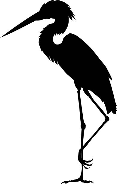 heron silhouette of heron heron stock illustrations