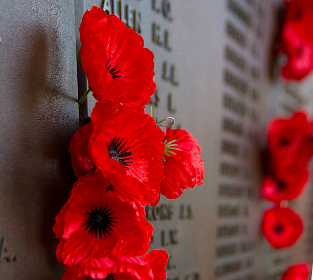 der remembrance poppy - kriegsdenkmal stock-fotos und bilder