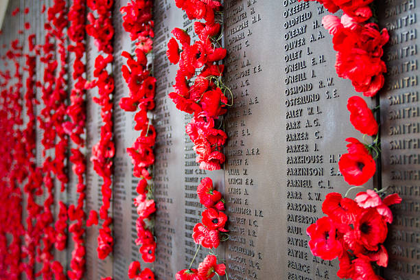 War World I Tribute Canberra, ACT, Australia - July 12, 2014: Partial view of First World War Honour Roll Some of the names of the Australian soldiers who fell during Word War One, with red poppies adorning their names. world war i photos stock pictures, royalty-free photos & images