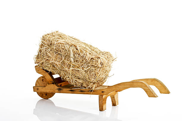 Haystack
