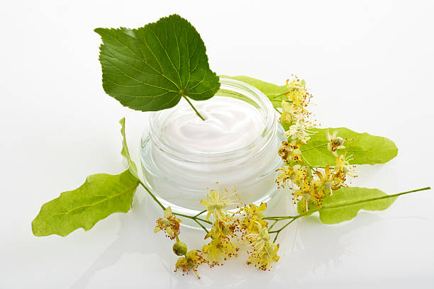 Lime blossom cream, lime blossoms of Large Leaved Linden stock photo