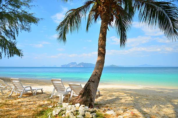istock Summer Beach on Paradise Island 465763300