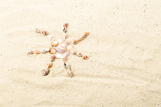 istock Holiday, clams, sun, sand 465765828