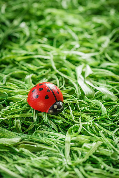 istock Ladybird figurine on grass 465765958
