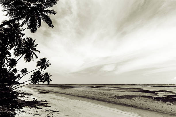 istock Black and White View of Patacho Beach in Low Tide 465766066