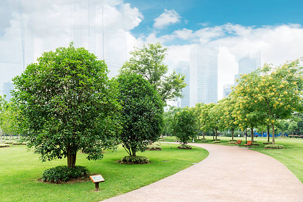 istock city park with modern building background in shanghai 465766928