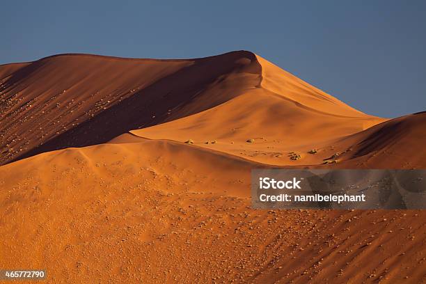 Dune In The Namib Desert Stock Photo - Download Image Now - 2015, Africa, Arid Climate