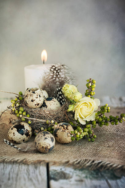 istock Quail eggs and feathers in a nest 465782547