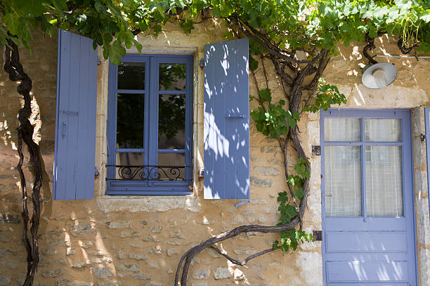 istock Purple window and door with grape growing on old wall 465785231