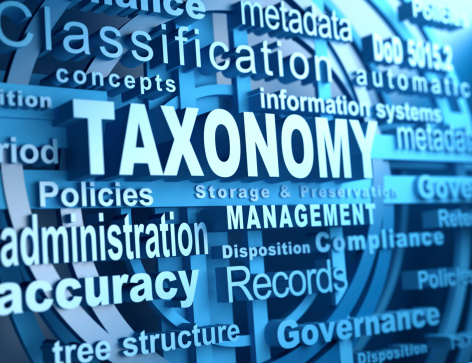 Taxonomy and related words