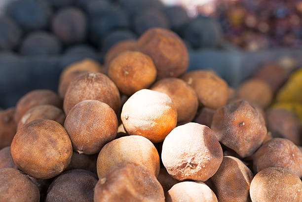 Dried lemons  in the souk at Deira in Dubai