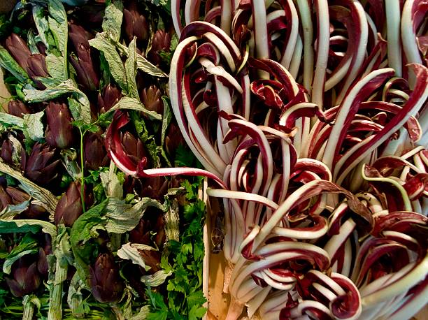 Artichokes and chicory